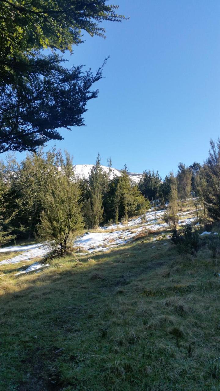 Mt Lyford Lodge エクステリア 写真