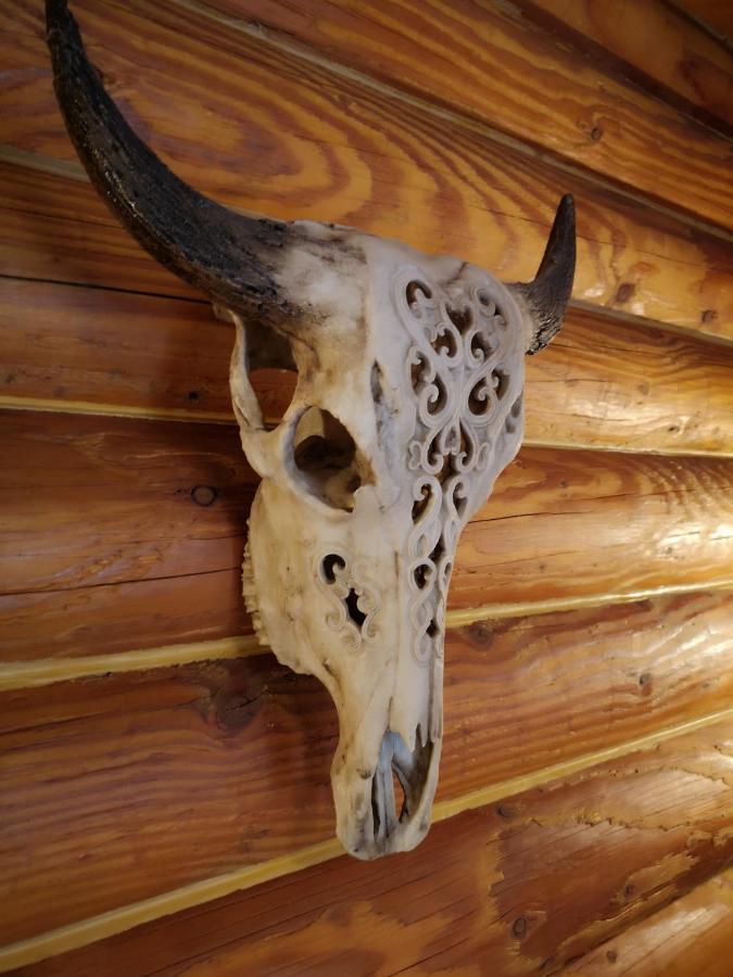 Mt Lyford Lodge エクステリア 写真